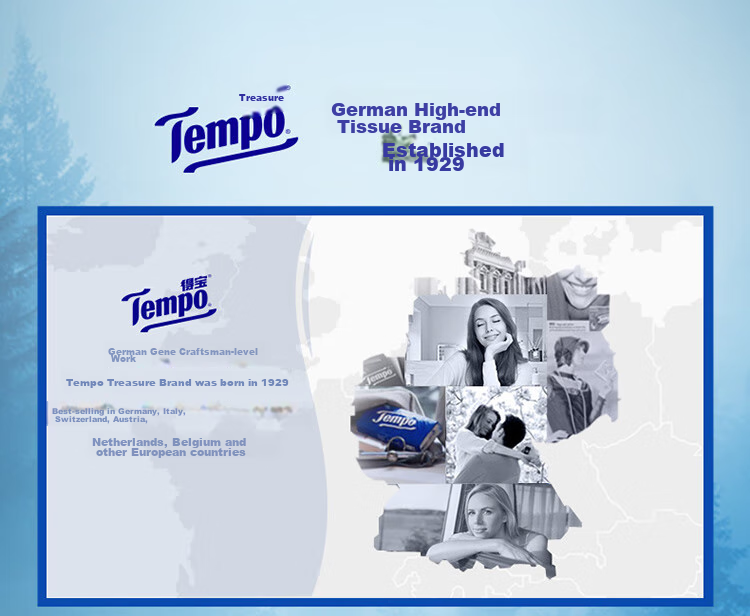 Бумажные платочки TEMPO