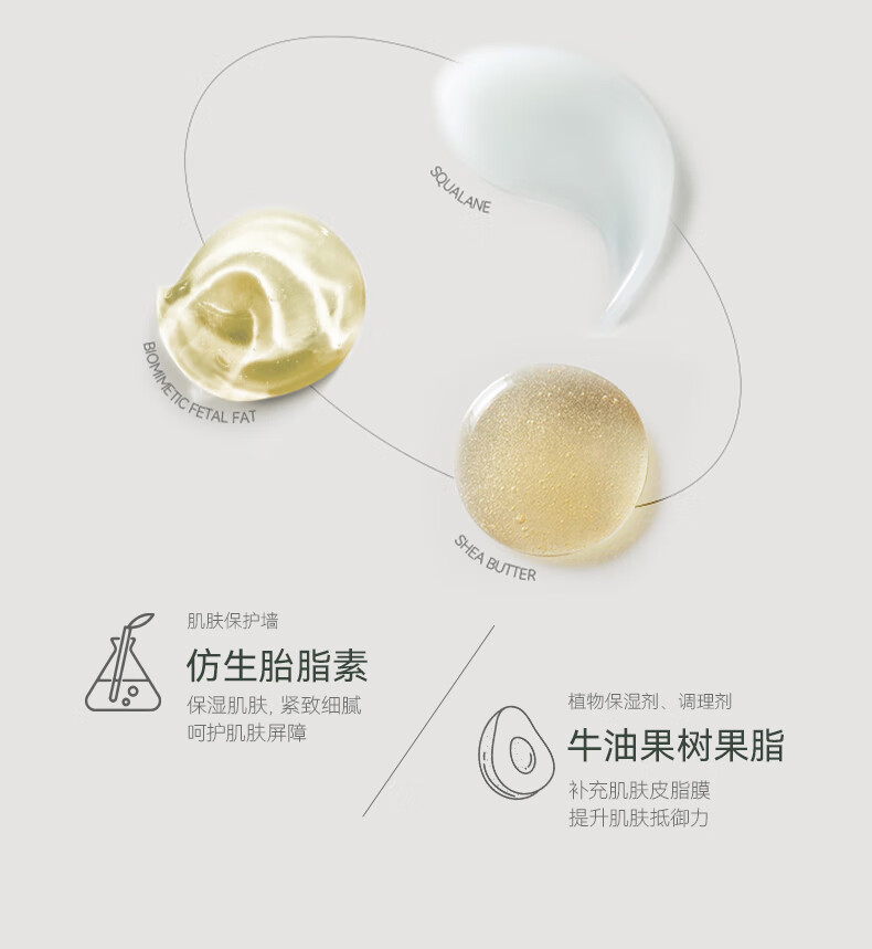 AOEO山茶花倍润鲜肌精华涂抹面膜50g 保湿面膜送女友