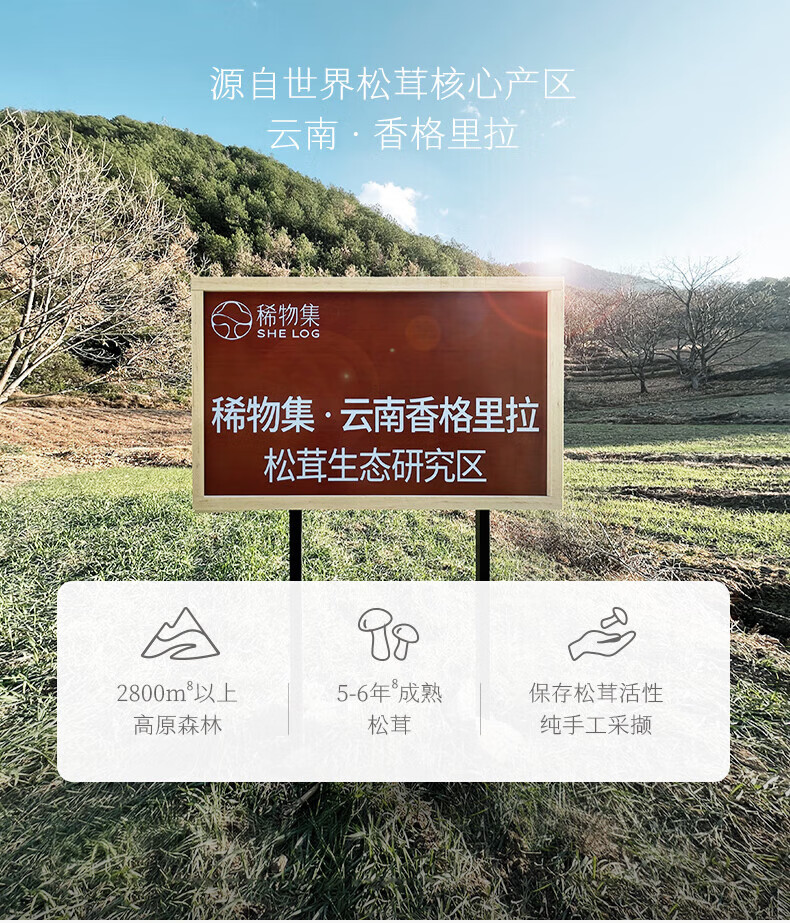 稀物集 雪境森林糯感卸妆膏50g清爽水润不油腻眼唇可卸温和卸妆清洁养肤