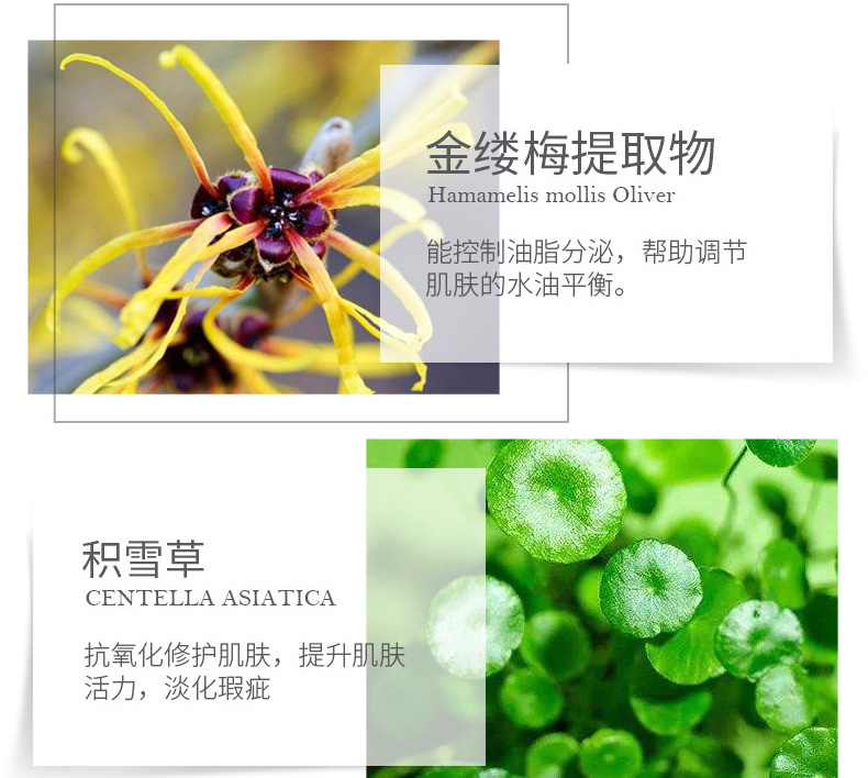 善草纪 茶树清洁面膜 改善毛孔黑头控油白泥膜修护男女 2代茶树面膜150g