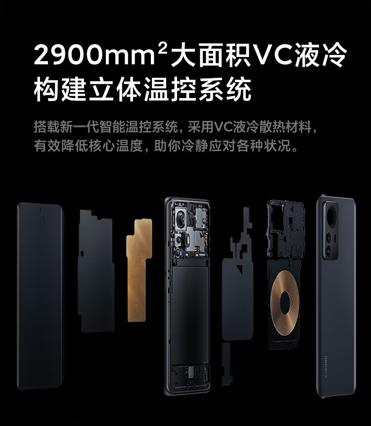 小米12 Pro 骁龙8 Gen1 2K AMOLED 120Hz高刷 5000万疾速影像 120W小米澎湃快充 8GB+128GB 紫色 5G手机