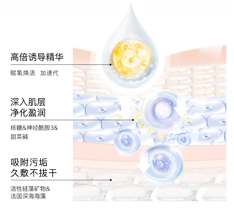 卡蔓（Casmara）清洁海藻面膜140g/瓶 涂抹式面膜 睡眠面膜 滋润肌肤 男女护肤品