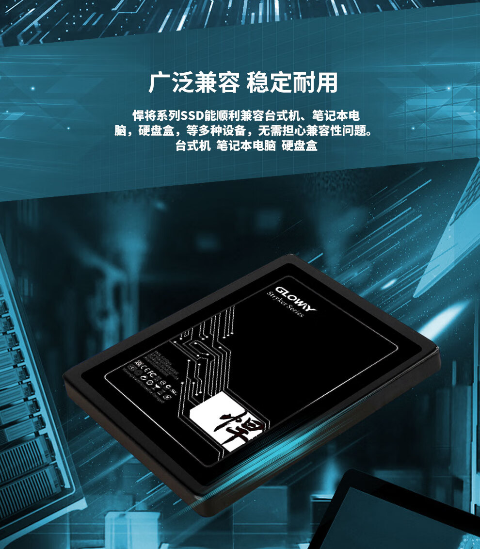 光威（Gloway） 固态硬盘 240G  SATA3台式机笔记本SSD 悍将系列