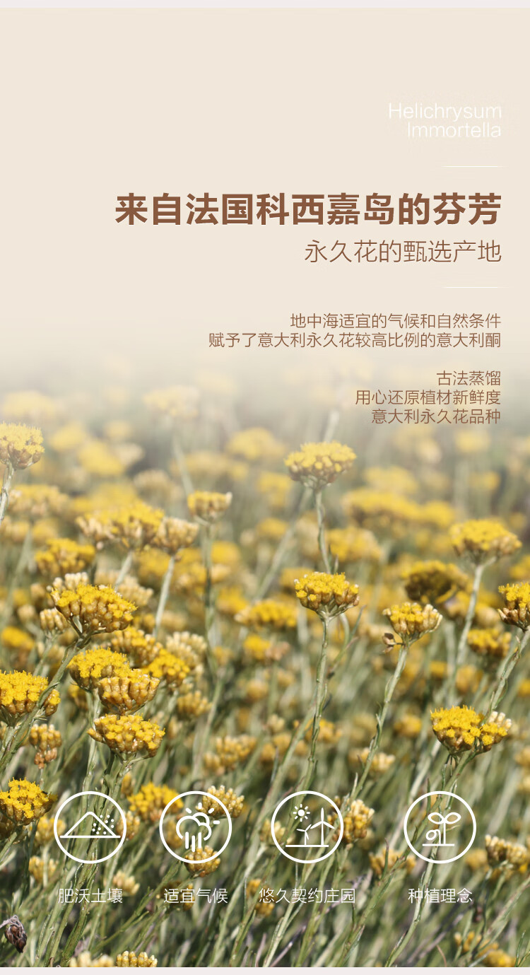 Oshadhi德国O家蜡菊永久花纯露237ml闭口粉刺爽肤水湿敷水花水护肤水补水