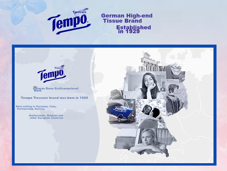 Бумажные платочки TEMPO