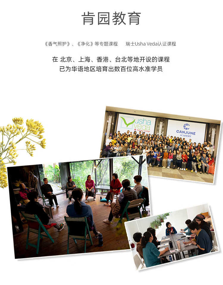 肯园Anius酒神焕肤精华油10ml酒神魔杖面部精油刮痧精华油紧实熟龄肌
