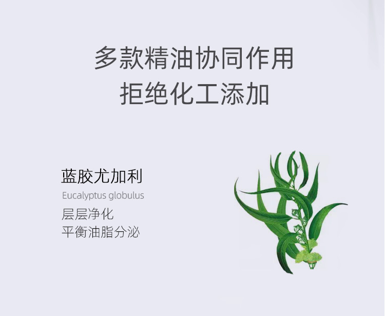 肯园Anius巨人晶亮精华油10ml 巨人魔杖眼部精华油熬夜眼油面部护肤品