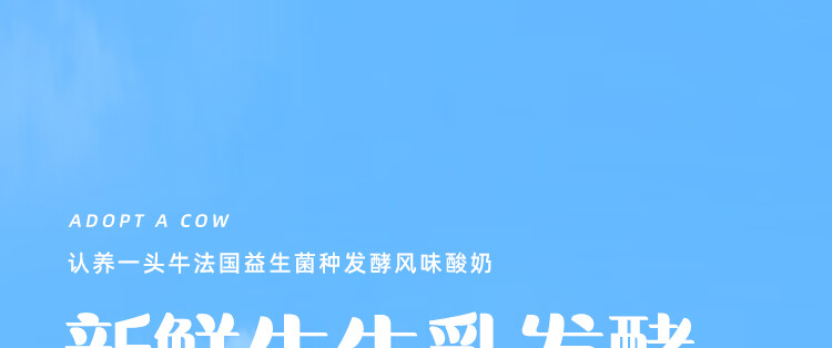 认养一头牛常温原味法式酸奶200g*12盒 儿童学生风味酸奶 一提装 送礼佳选