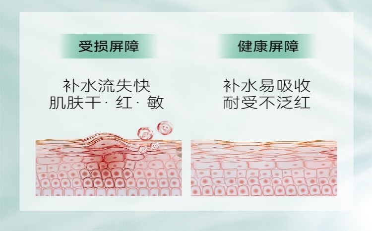 AOEO海葡萄舒心水乳套装敏感肌舒缓补水保湿护肤品女男 120ml+100g