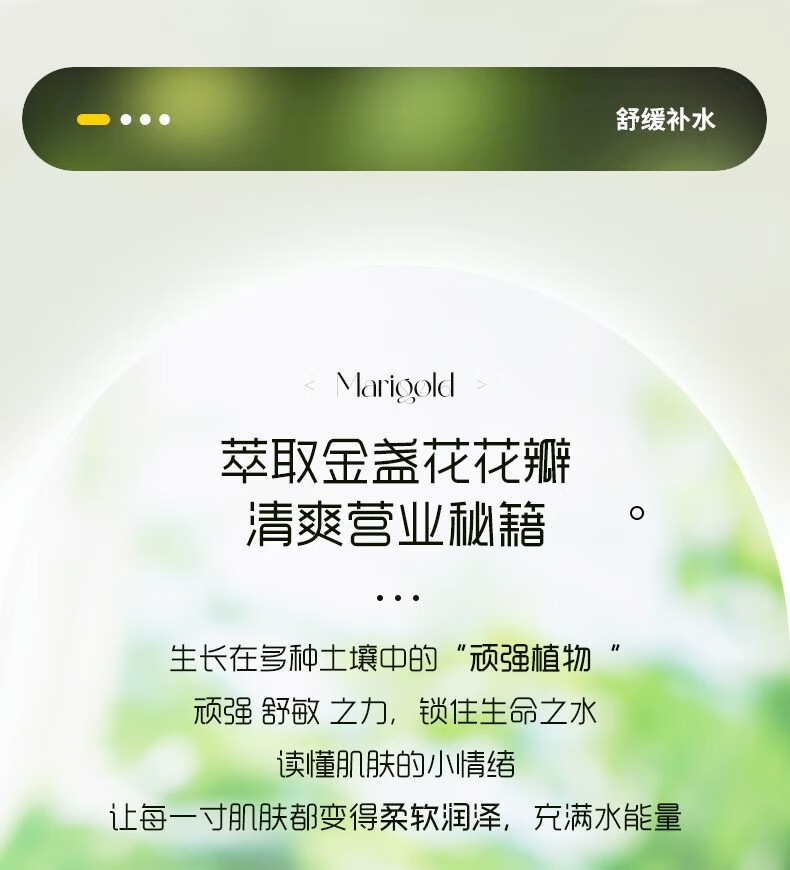 淇宗博士金盏花爽肤水女熬夜植萃精华补水收缩毛孔控油水油平衡湿敷500ml