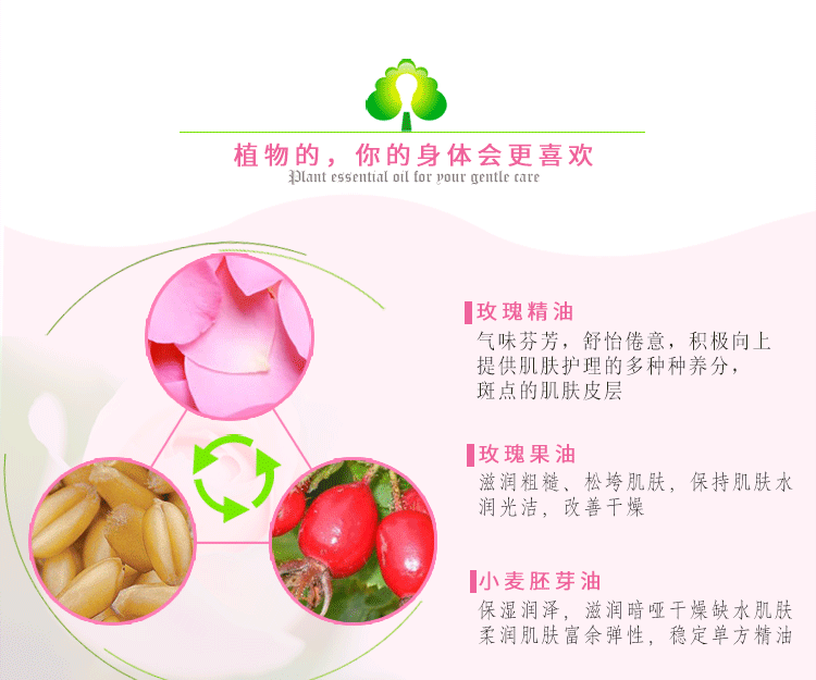 葆莳（BAOSHI）玫瑰按摩精油 面部护肤补水保湿 100ml（全身通用）