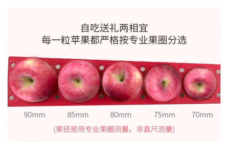 京鲜生烟台红富士苹果5kg一级大果 单果220g以上 水果礼盒