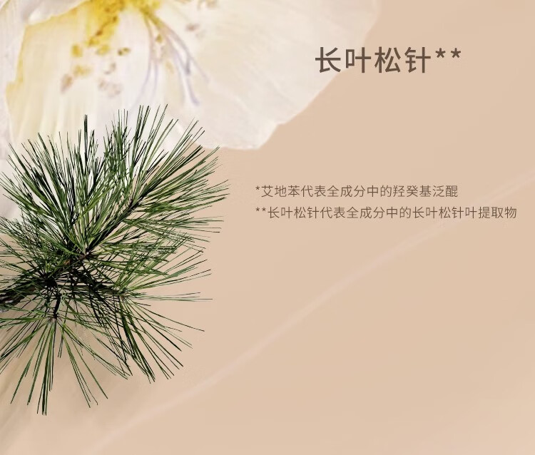 唐魅可（TOM MARK）气垫 丝雾锁妆粉底霜液养肤轻透BB霜国货 慕斯气垫自然色12g 