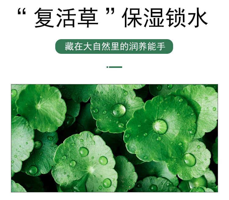 草萨（CaoSa）积雪草洗面奶女氨基酸温和清洁毛孔控油男士油皮专用洁面乳300ml
