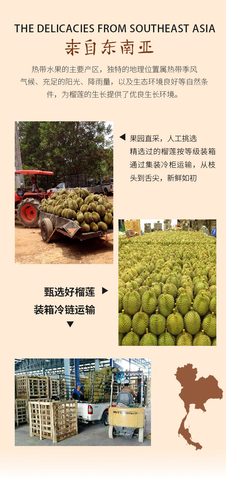 预售 泰国进口金枕头榴莲 2-3个装 总重5kg以上 新鲜水果