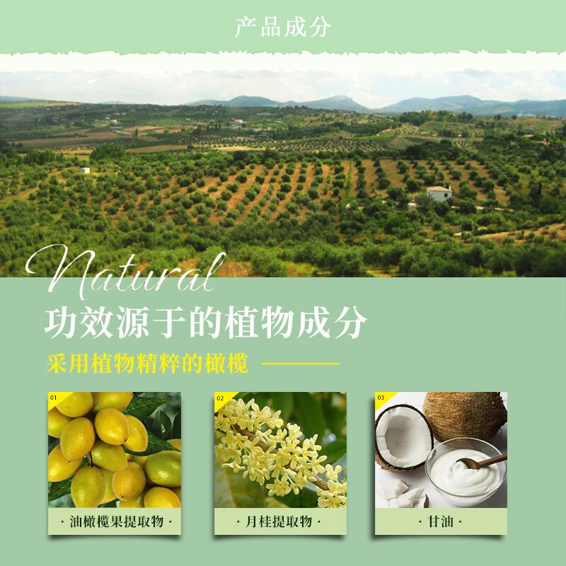 安安金纯 A'Gensn橄榄油毛孔细致洁面乳收缩毛孔温和清洁低泡沫85g*2
