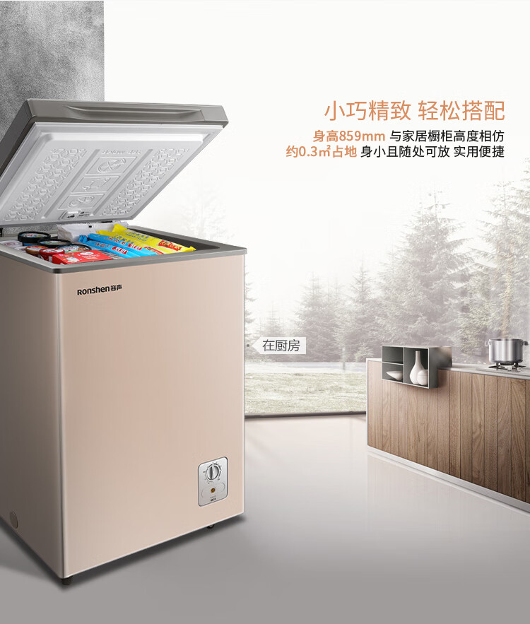 容声(Ronshen) 100升 彩晶冰柜家用 冷藏冷冻专利减霜80%冷柜 小型迷你单温母婴母乳卧式冰箱BD/BC-100MG/A