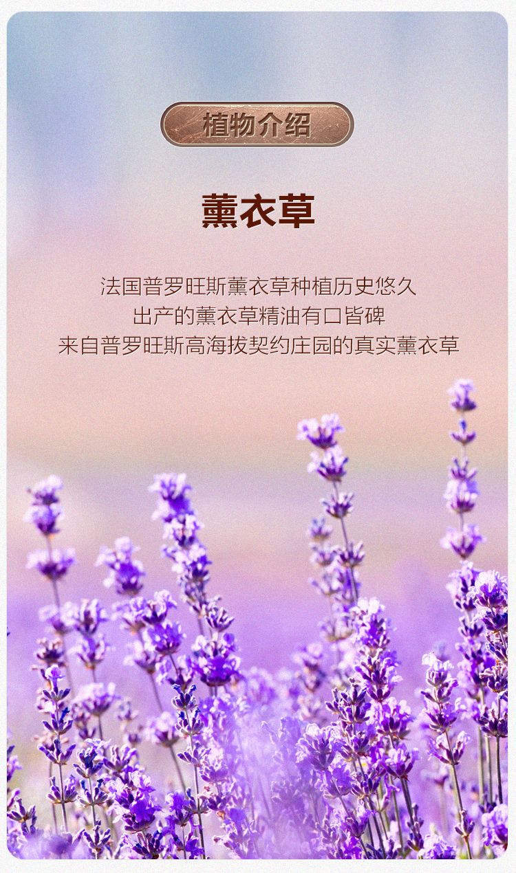 Oshadhi德国O家薰衣草精油10ml单方精油面部护肤油香薰精油面部点涂按摩