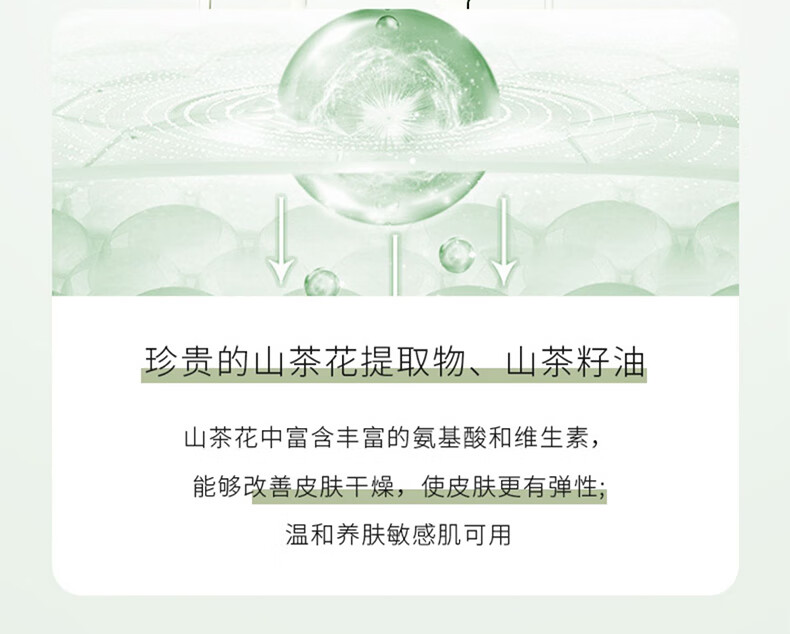 范泳辰山茶花氨基酸泡沫洗面奶温和清洁毛孔学生保湿控油男女通用洁面乳 山茶花洁面乳一瓶600ml+面膜