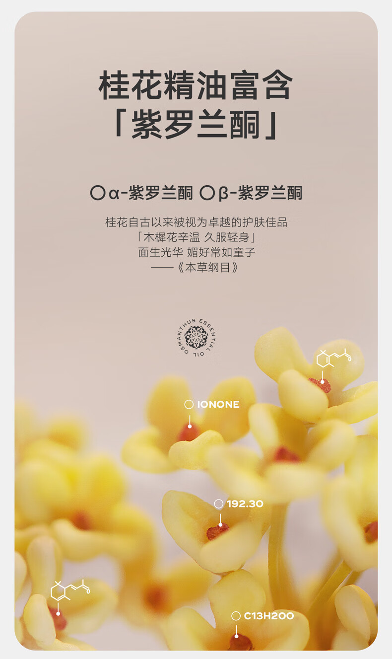 雏菊的天空 桂影恒润呵护唇膏女保湿滋润唇膏润养唇部妆前打底男保湿3.8g