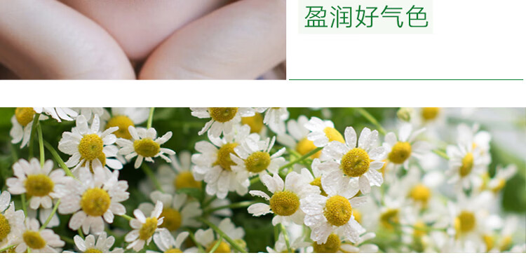 HERBACIN贺本清德国小甘菊经典唇膏 4.8g三支装 教师节礼物补水保湿