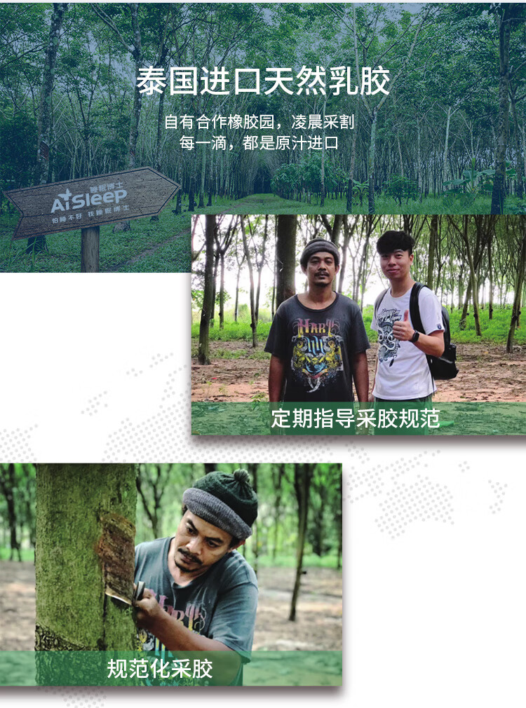 睡眠博士床垫到底怎么样，参数如何！