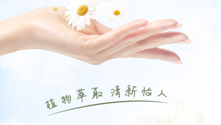 HERBACIN小甘菊护手霜玫瑰盒（玫瑰75ml+20ml+唇膏4.8g）女神节