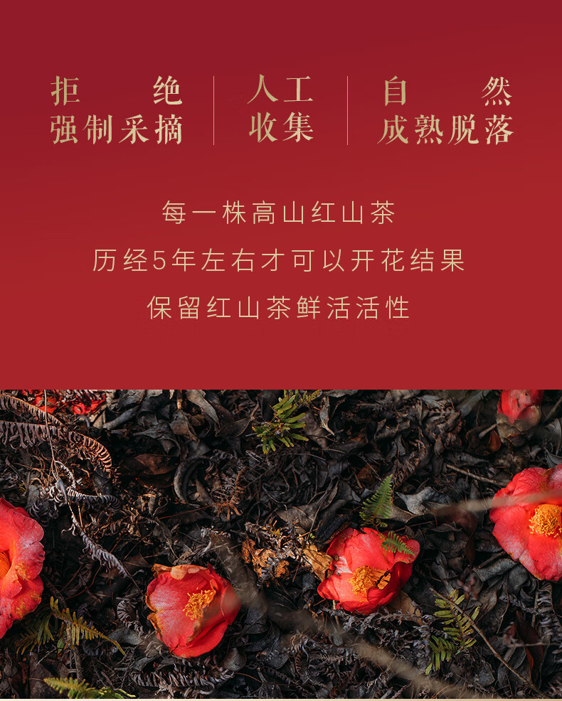 林清轩红山茶焕活眼霜3ml 淡化眼周细纹干纹 会员试用旅行装小样