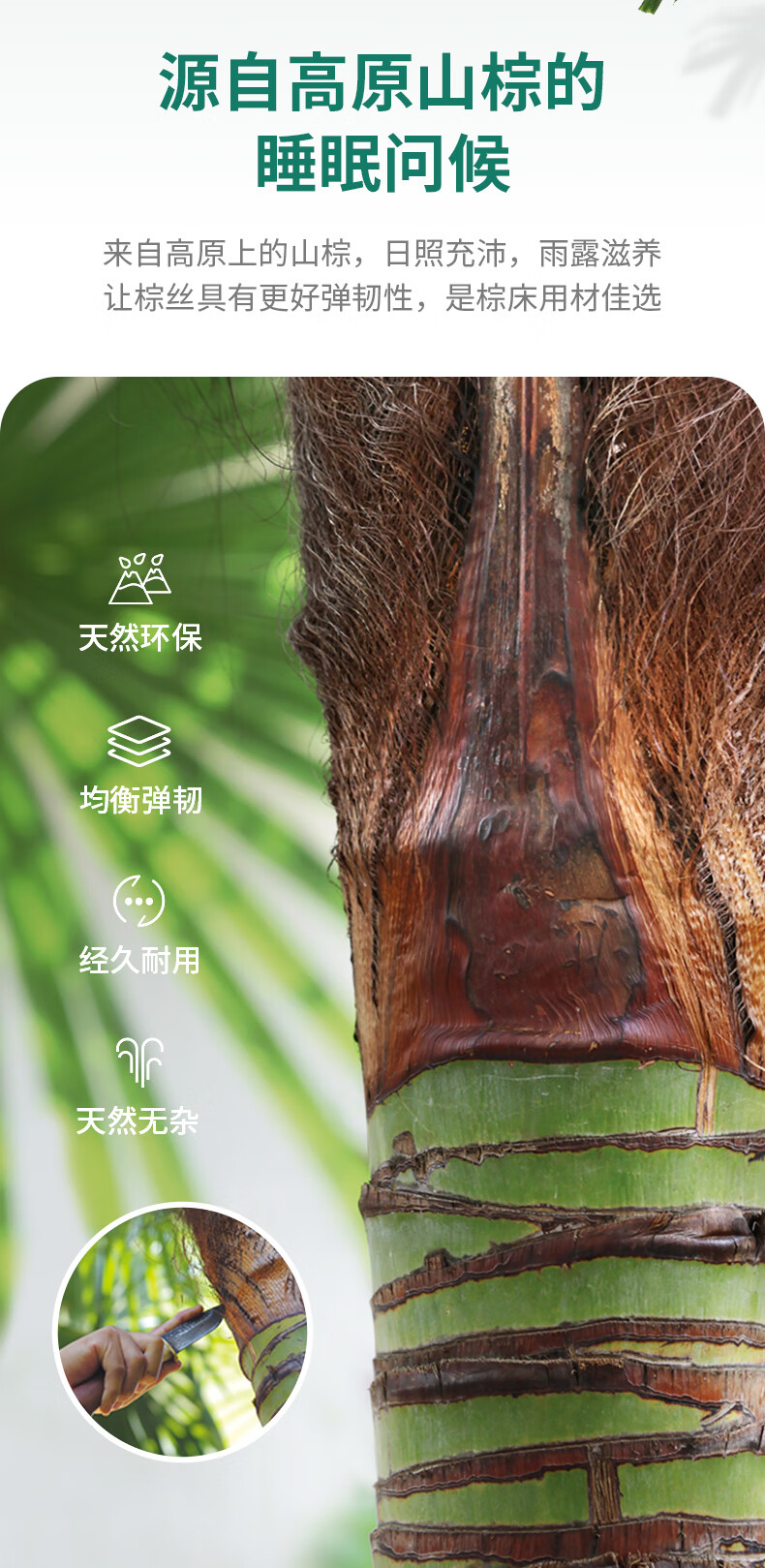 大自然床垫怎么样？内幕使用评测揭秘