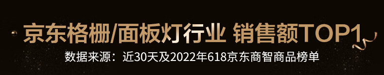 雷士（NVC）厨房灯 led集成吊顶厨卫灯吸顶灯  铝扣板卫生间平板灯 嵌入式面板灯 拉丝银 24W正白光 300*600