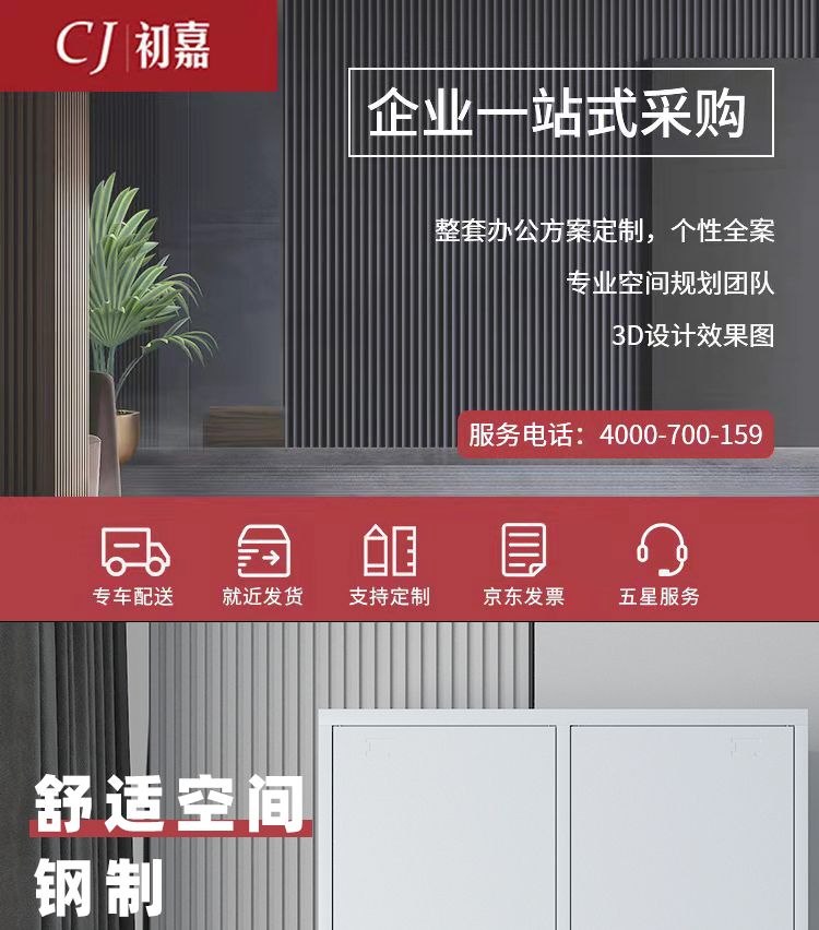 初嘉(CJ)更衣柜 铁皮柜储物柜员工宿舍衣柜存包柜 二门更衣柜