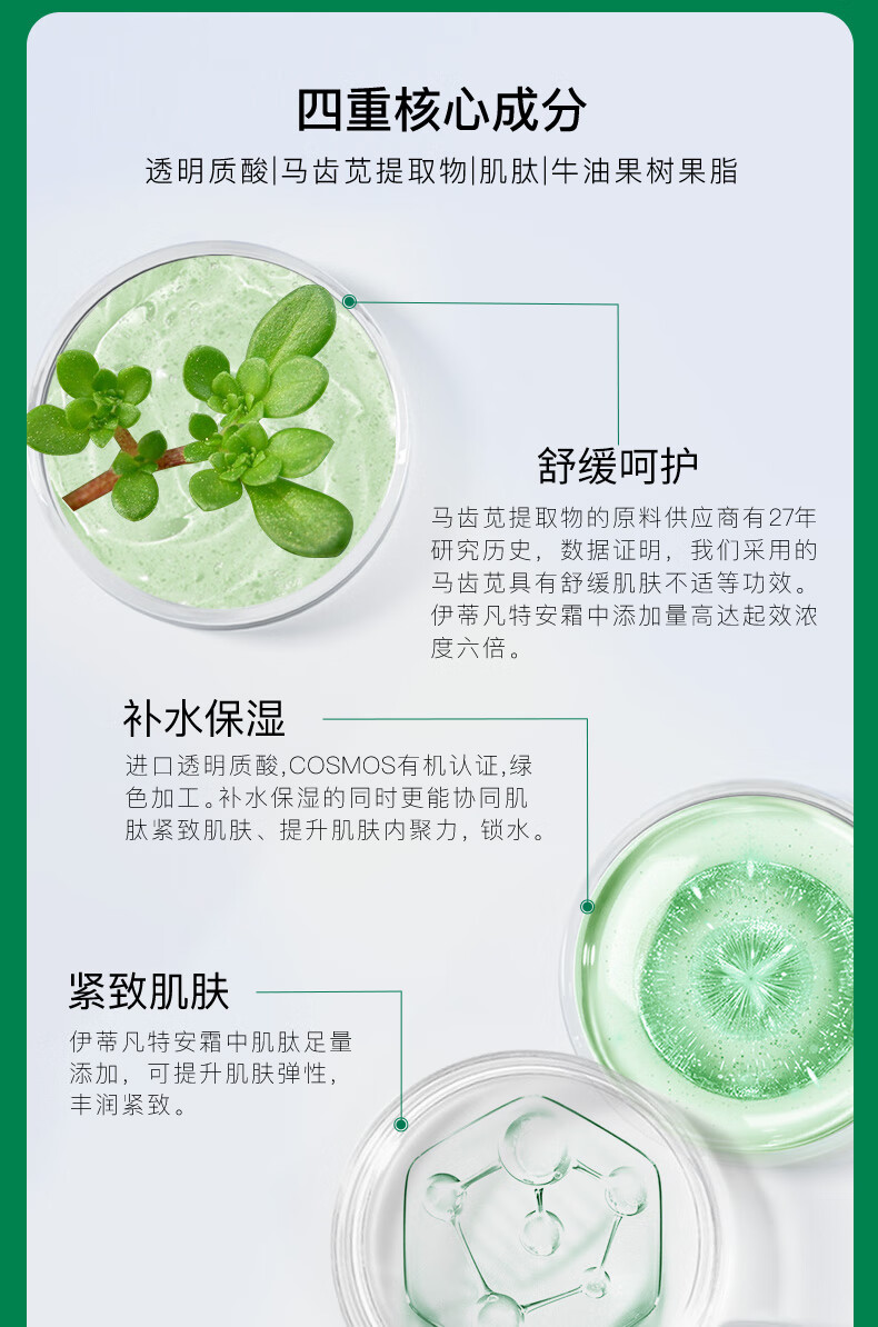 伊蒂凡（YIDIFAN）舒护特安霜补水保湿面霜舒缓肌肤油干皮敏感肌可用舒护特安霜50g