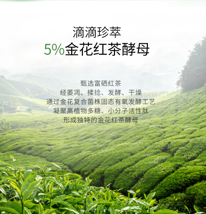 韩后茶蕊沁润保湿喷雾120ml 女士爽肤水补水保湿舒缓悦肤定妆湿敷