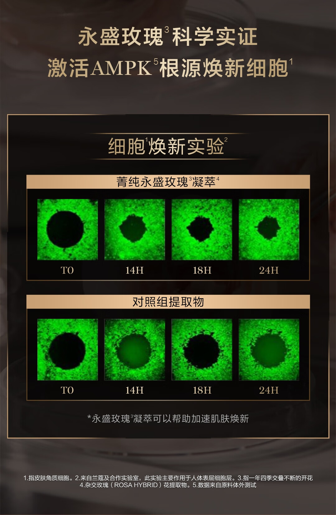 兰蔻菁纯眼霜20ml淡化细纹滋润 化妆护肤品套装礼盒女神节生日礼物女