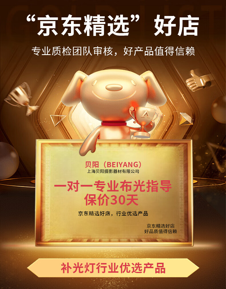 Светодиодный заливающий прожектор Beiyang 300W COB, комплект для прямой трансляции, студийная фотосъемка, освещение для видео, студийное оборудование