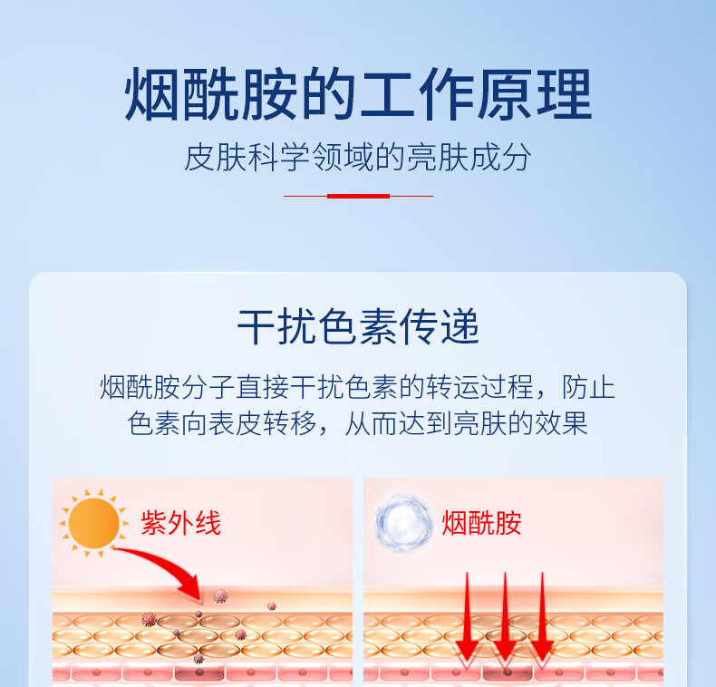 仁和匠心烟酰胺原液15ml 美白提亮焕活改善肤色暗沉去黑头小灯泡安瓶