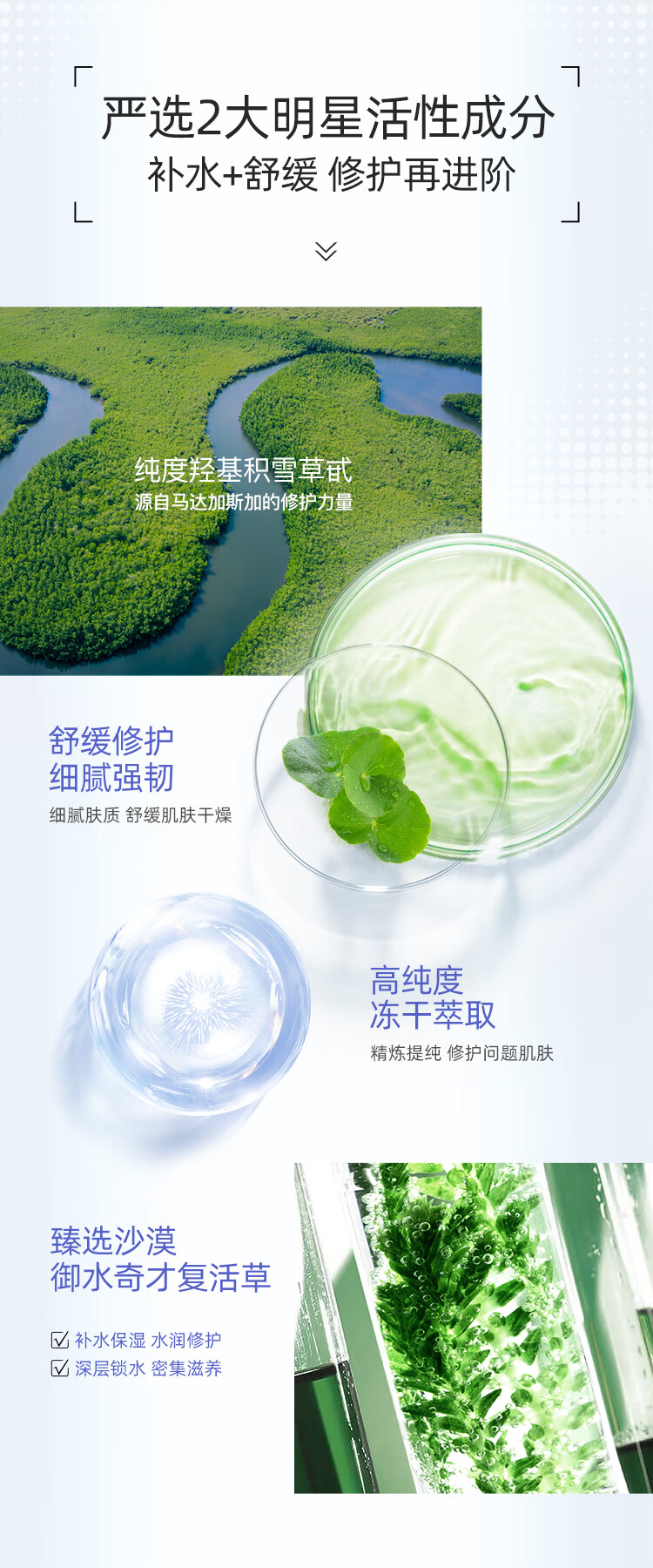 高姿 面膜积雪草修护舒缓睡眠面膜80g（补水保湿 清洁泥膜 涂抹式）