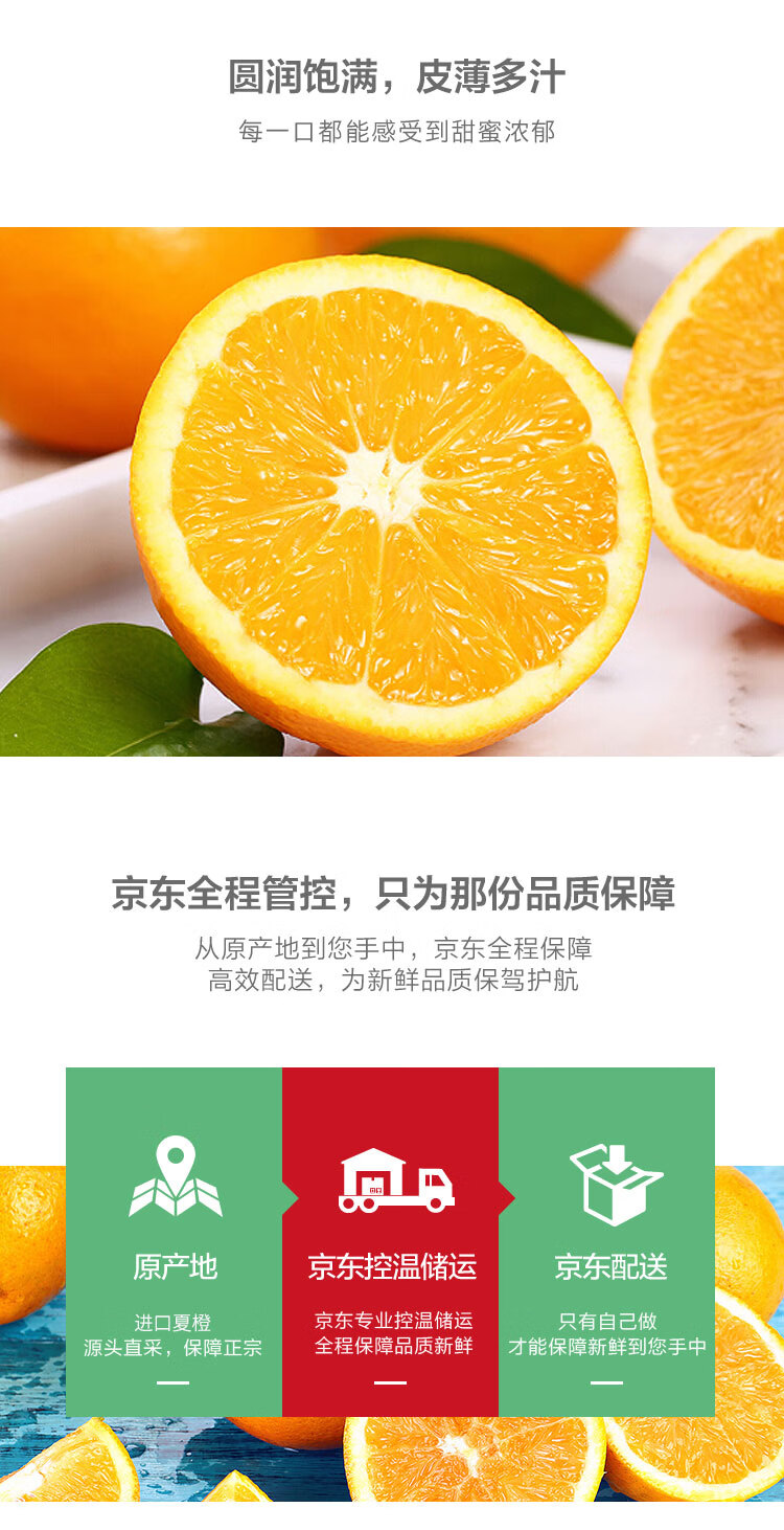 进口榨汁夏橙 橙子 2.5kg装 单果重约130-170g 生鲜橙子水果