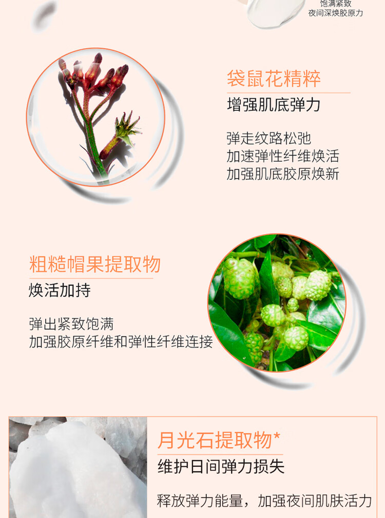 娇韵诗 娇韵诗 焕颜水乳霜套装 弹簧日晚霜双萃精华三件套护肤品套装 