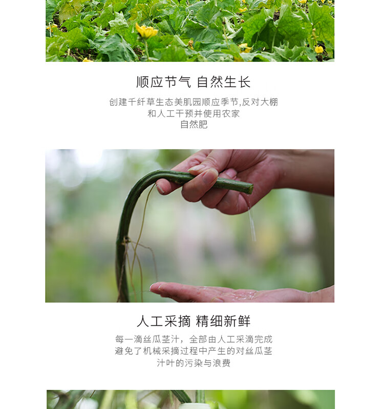 千纤草 丝瓜卸妆水 脸部清洁温和眼唇脸三合一 卸妆液 丝瓜卸妆水 丝瓜卸妆水300ml
