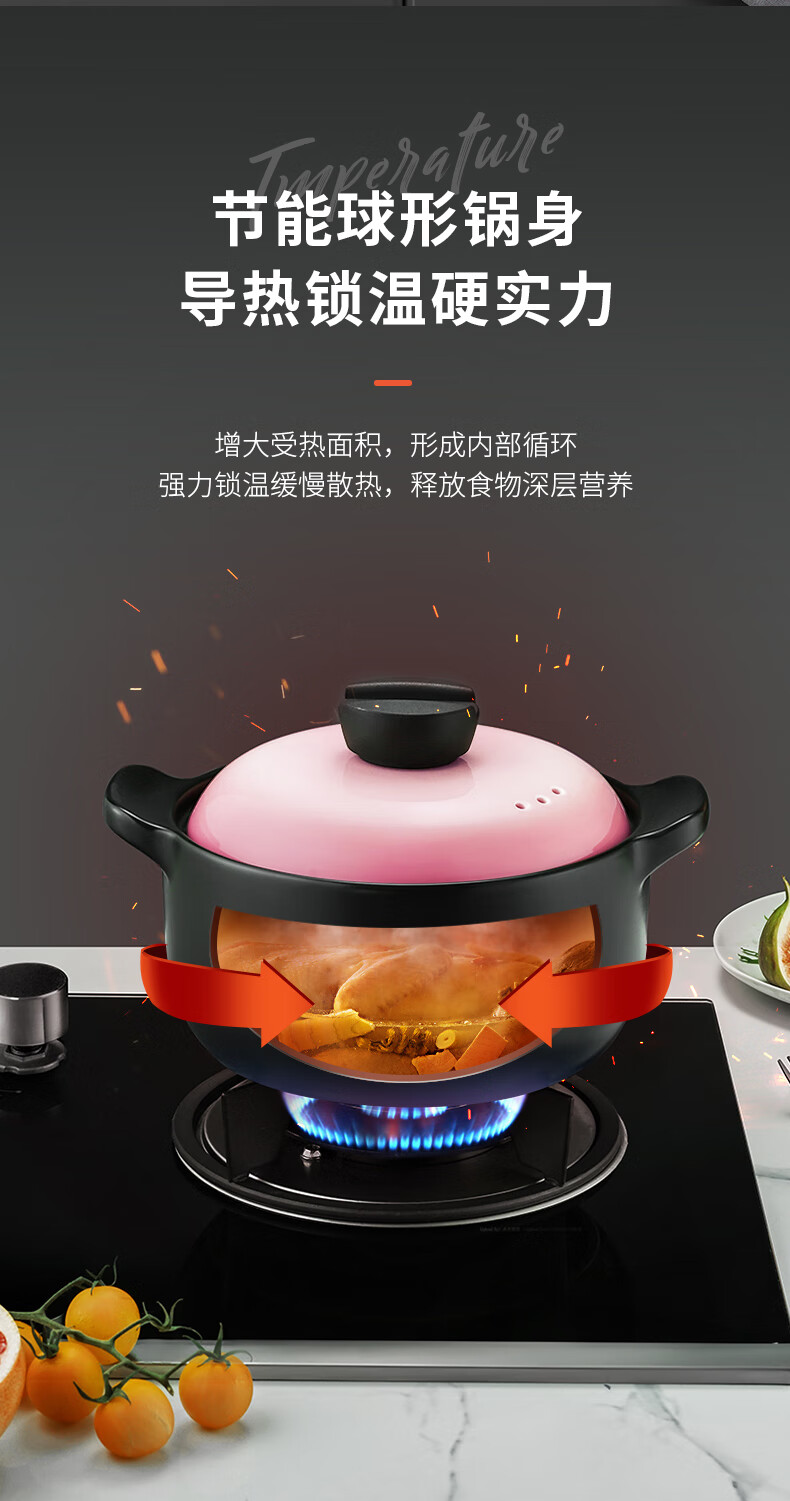 爱仕达（ASD）天然陶瓷砂锅炖汤石锅陶瓷煲6.0L新陶中药锅高汤煲 RXC60B3Q
