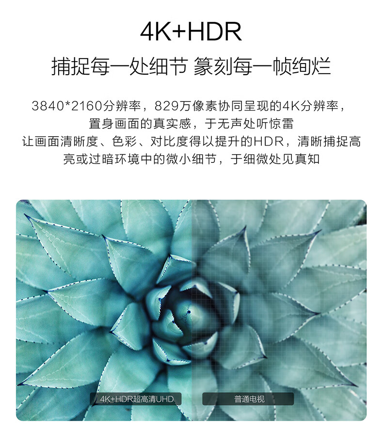 海尔（Haier）LU75C51 75英寸金属超薄全面屏  4K超高清 人工智能语音 液晶平板教育电视2+16G 以旧换新