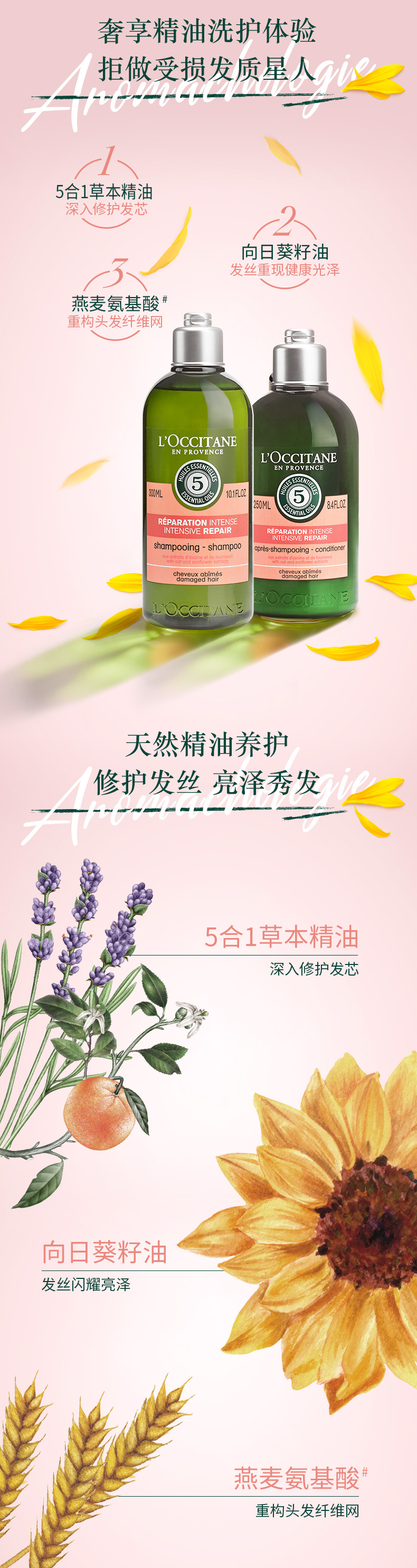 欧舒丹 L’OCCITANE 5合1草本菁纯修护洗发露300ml 精油修护洗发水 法国原装 有无封口贴随机发货