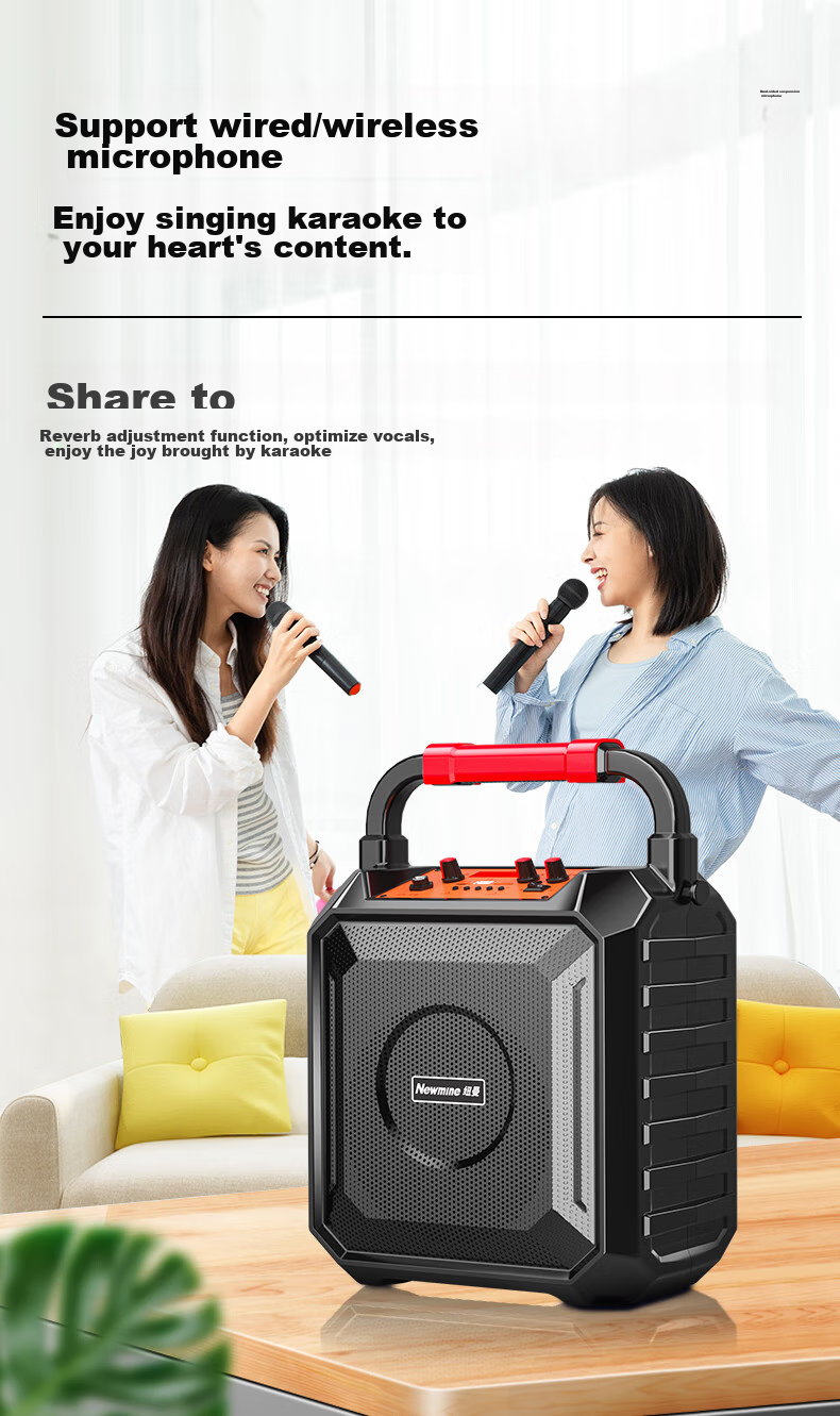 Портативная Bluetooth-колонка Newmine K220, 6.5 дюймов, 120 Вт, караоке, уличная, с микрофоном, Черный