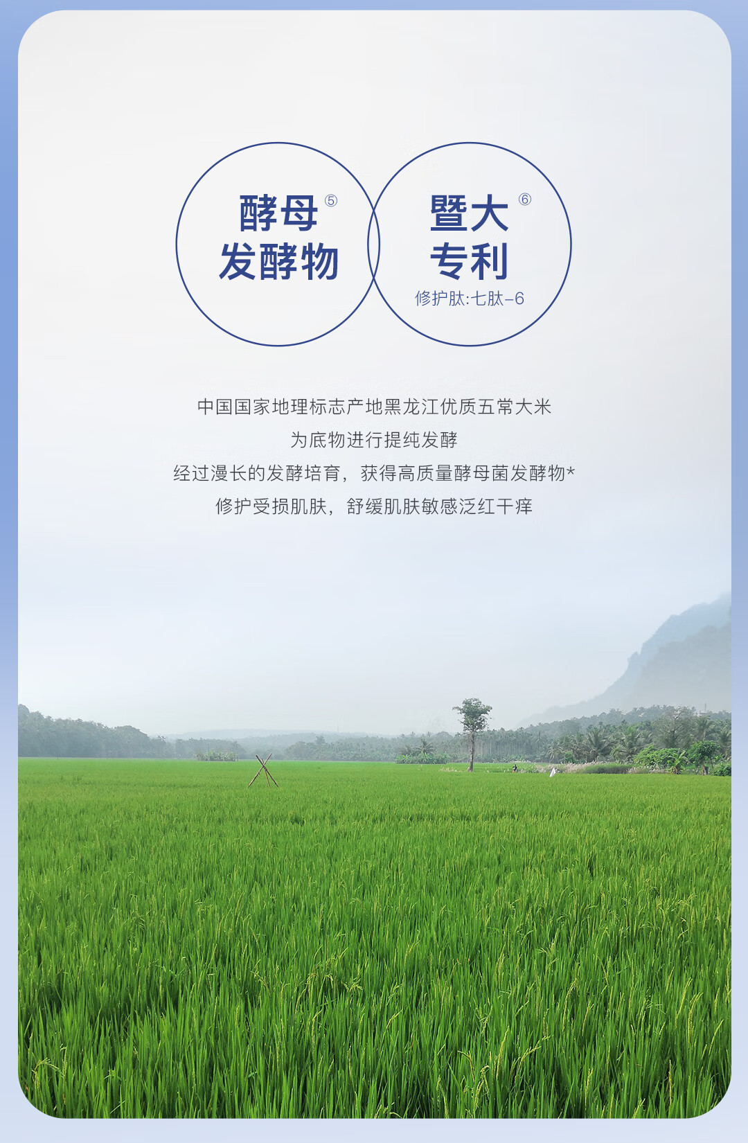 优理氏 酵母面霜30g 补水保湿 屏障修护 呵护维稳肌肤 敏感肌护肤品