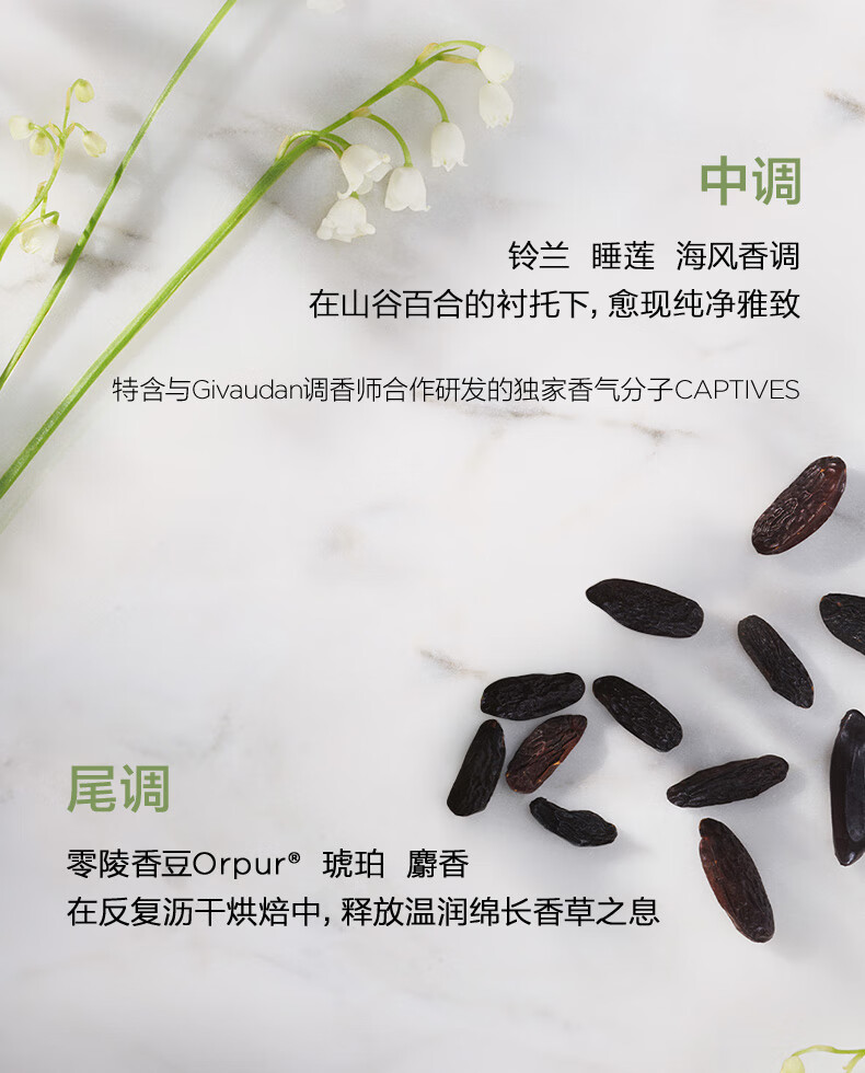 伊丽莎白雅顿成毅同款白茶沁心香水30ml+白茶身体霜400ml滋润身体护理