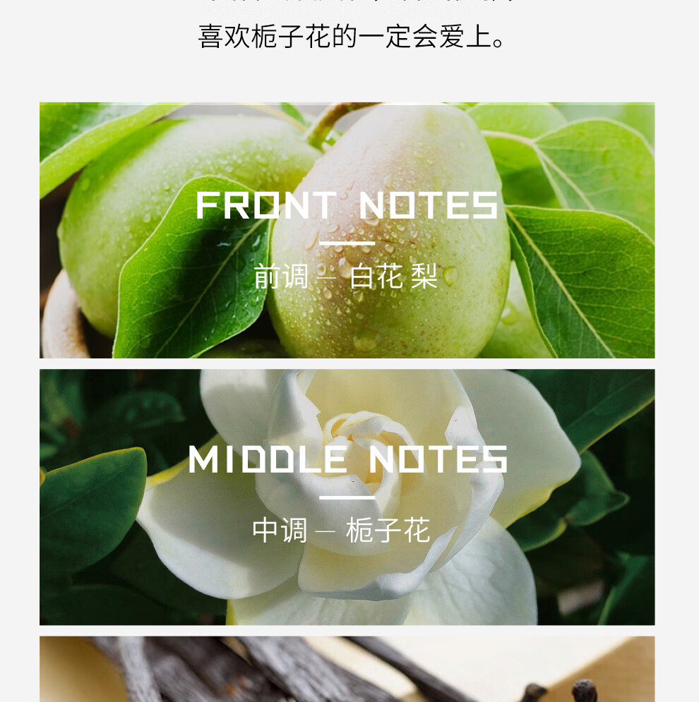 娜赛儿（LASTAR）法国香水纯粹栀子花香女士淡香礼盒持久清新生日礼物送女友