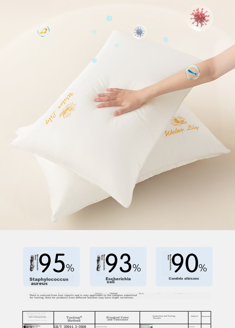 Подушка BEYOND Home Textile, 48*74 см, набор из 2 штук, с вышивкой, средняя, хлопок, полиэстер