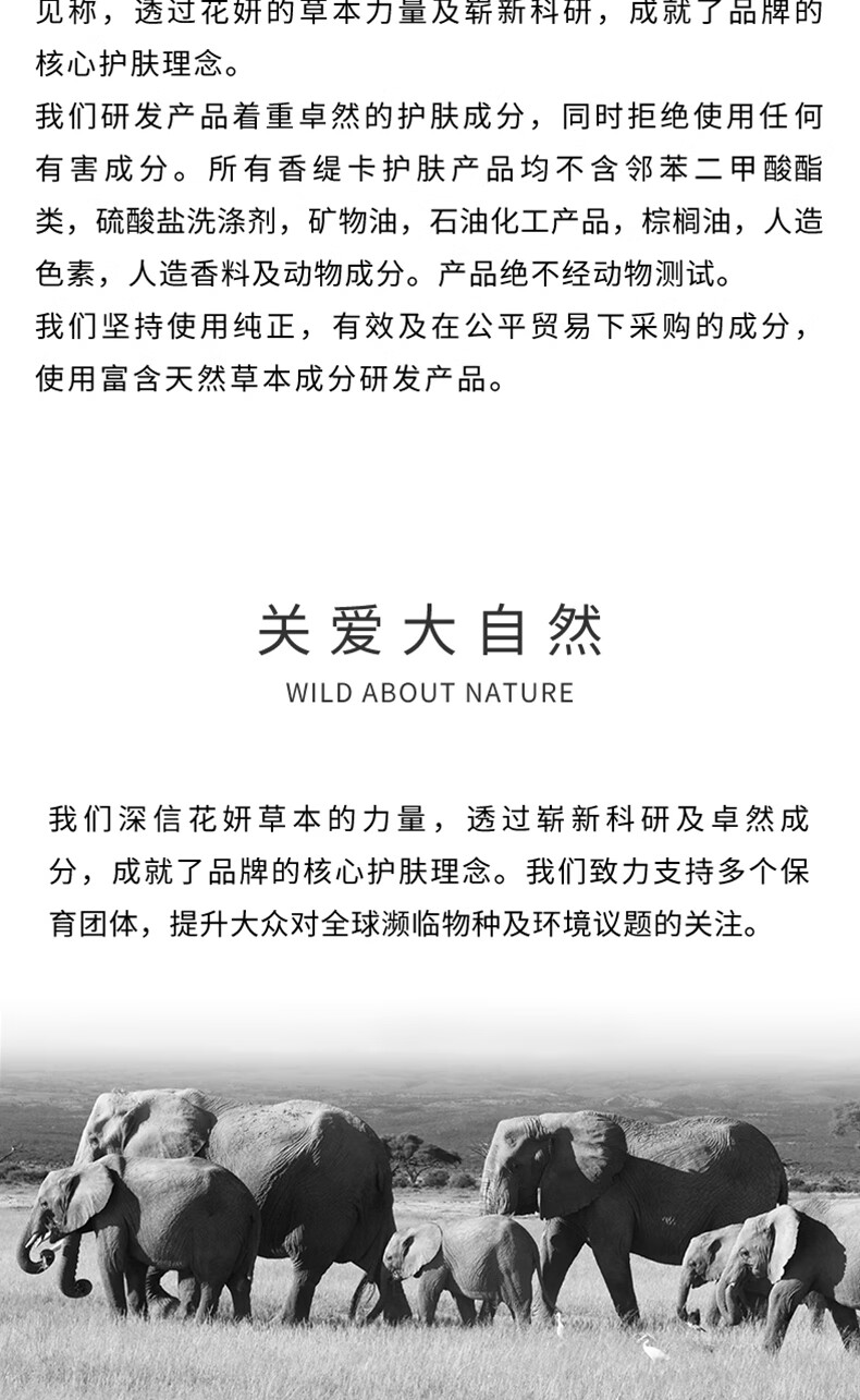 香缇卡（Chantecaille）清透粉饼10g 保湿遮瑕控油定妆细致服帖哑光妆 Petal浅色调