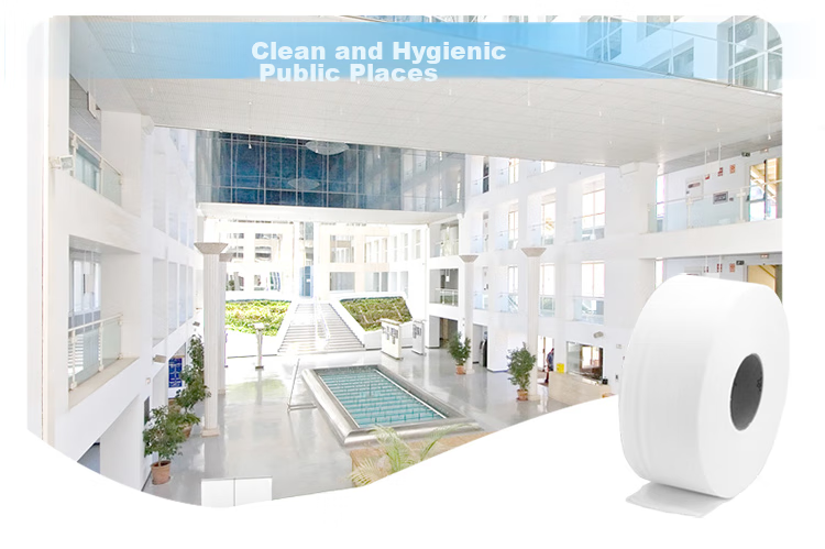 Рулонная туалетная бумага Hygienix Commercial Core Roll, 2-слойная, 220 м, 12 рулонов, для коммерческого использования (туалеты, торговые центры, гостиницы)
